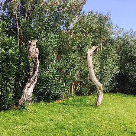Sa Fe Peacefull Nature View * بورتينانكس